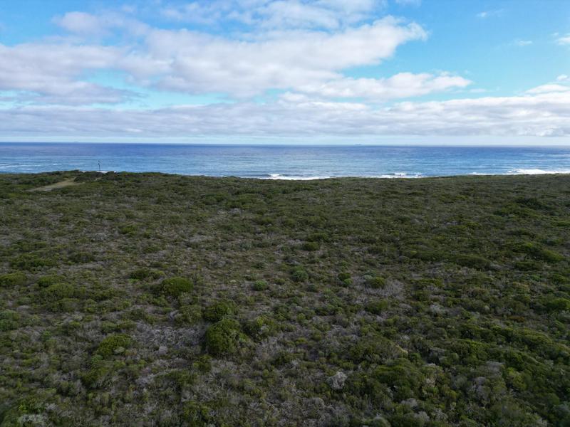 0 Bedroom Property for Sale in Birkenhead Western Cape